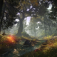 Illustration for article titled The Witcher 2 on Xbox 360 is, Thankfully, Still Very Much The Witcher 2